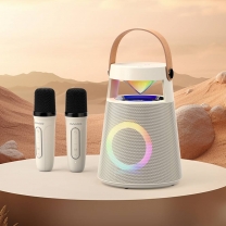 P2 PORTABLE KARAOKE SPEAKER