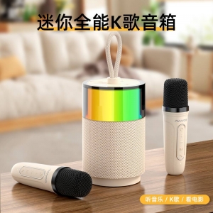 AW-K10S PORTABLE KARAOKE SPEAKER 