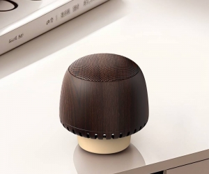 AW-K3 Mushroom Wireless Speaker