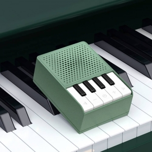 AW-A10 Pianio Wireless Speaker