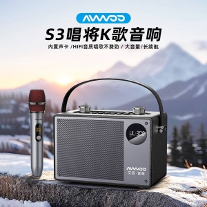 AW-S3 PORTABLE KARAOKE SPEAKER 
