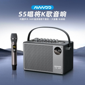 AW-S5 PORTABLE KARAOKE SPEAKER 