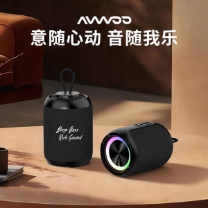 AW-502 Wireless Speaker 