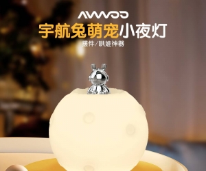 AW-D8 Space Rabbit Light